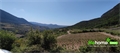 terrain à la vente